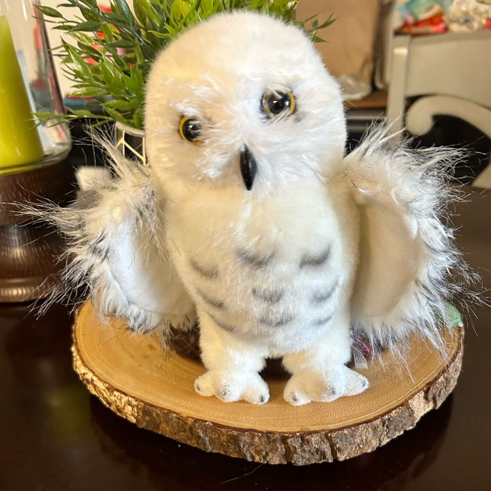 Douglas Cuddle Toys Wizard‎ Snowy Owl 8" Stuffed Animal White/Gray Owl Plush Toy